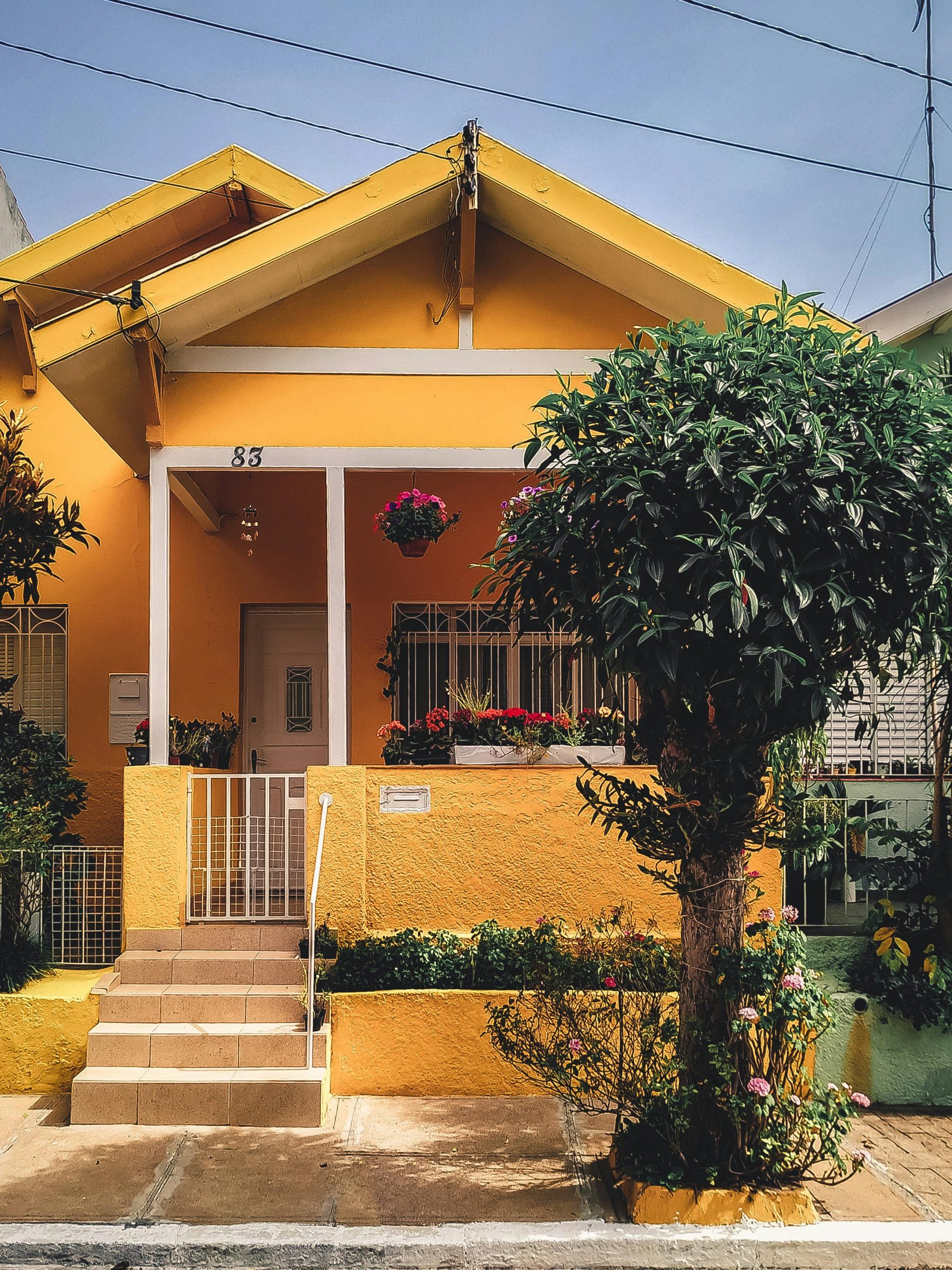 Maximize Your Wealth: How I Made 10% by Paying Property Taxes with IBC