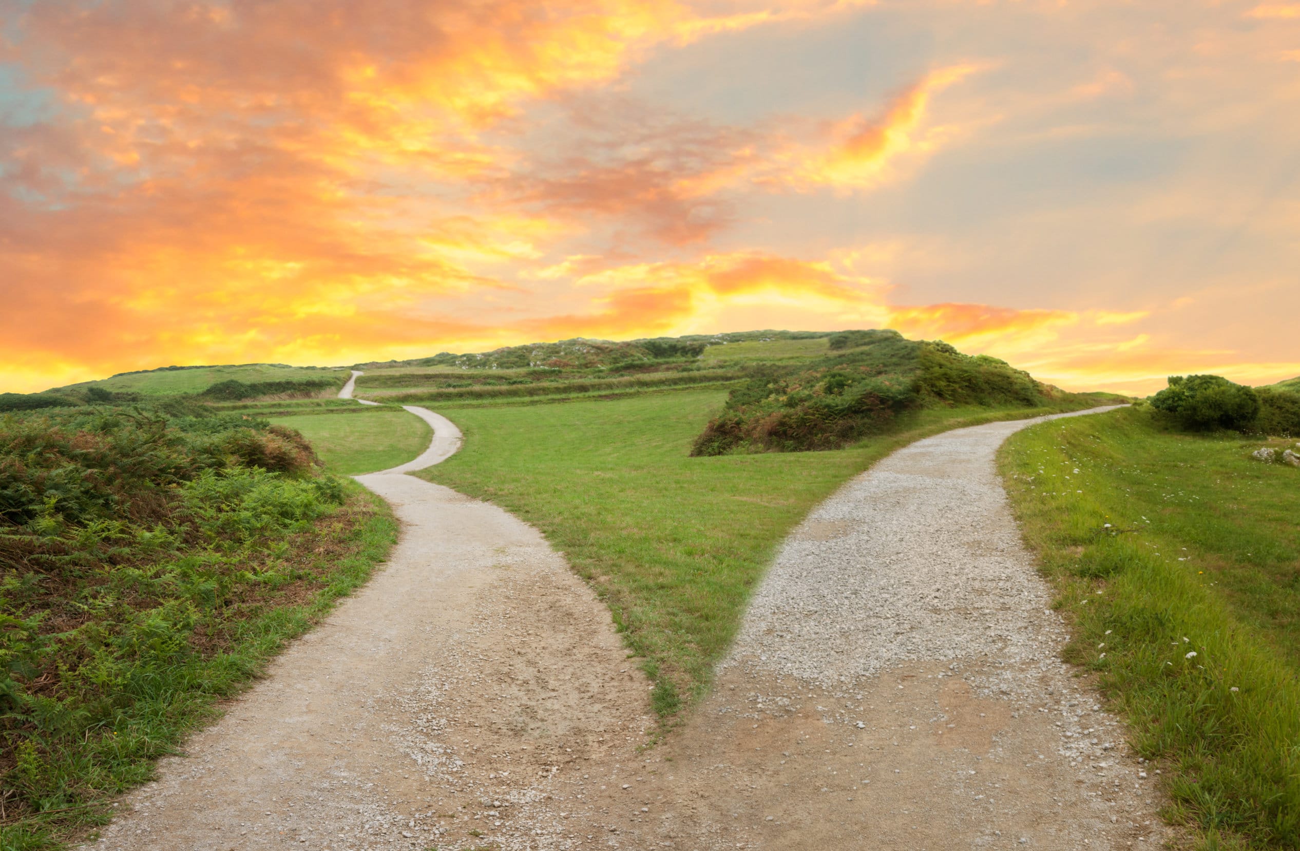 Comparing Returns: IBC vs. Traditional Investments