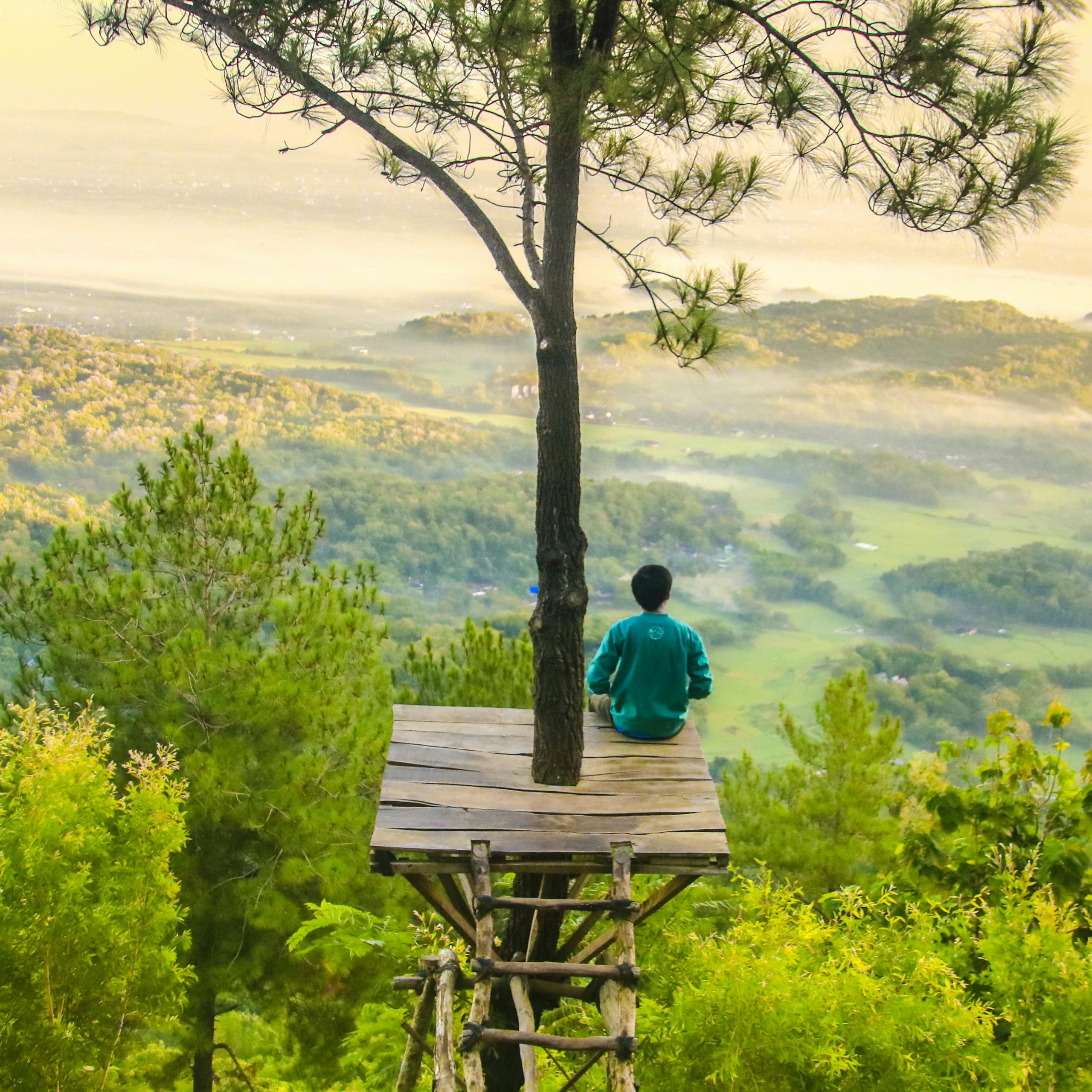 Beyond the Death Benefit: Whole Life Insurance as a Wealth-Building Tool